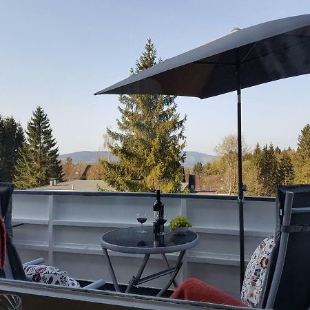 Апартаменты Weitblick Санкт-Андреасберг Экстерьер фото
